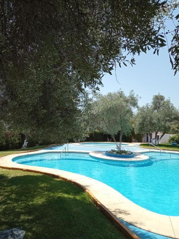 Apartment Brisas