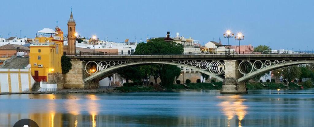 Art Gallery Triana Apartment *