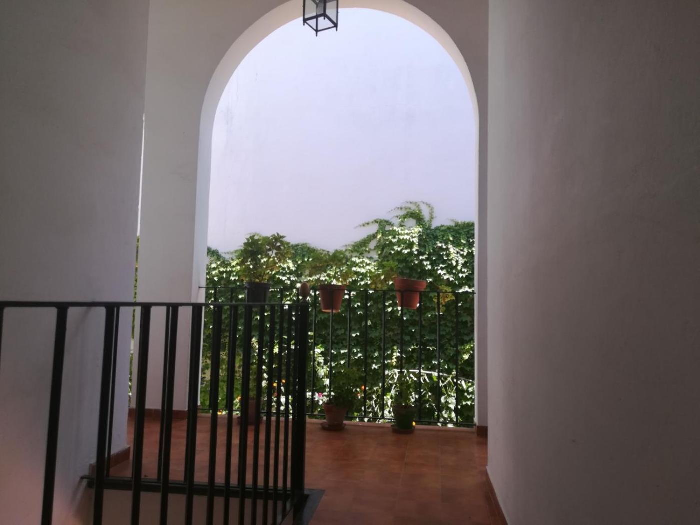 Apartment Luz Y Tranquilidad Barrio De Sta Cruz *