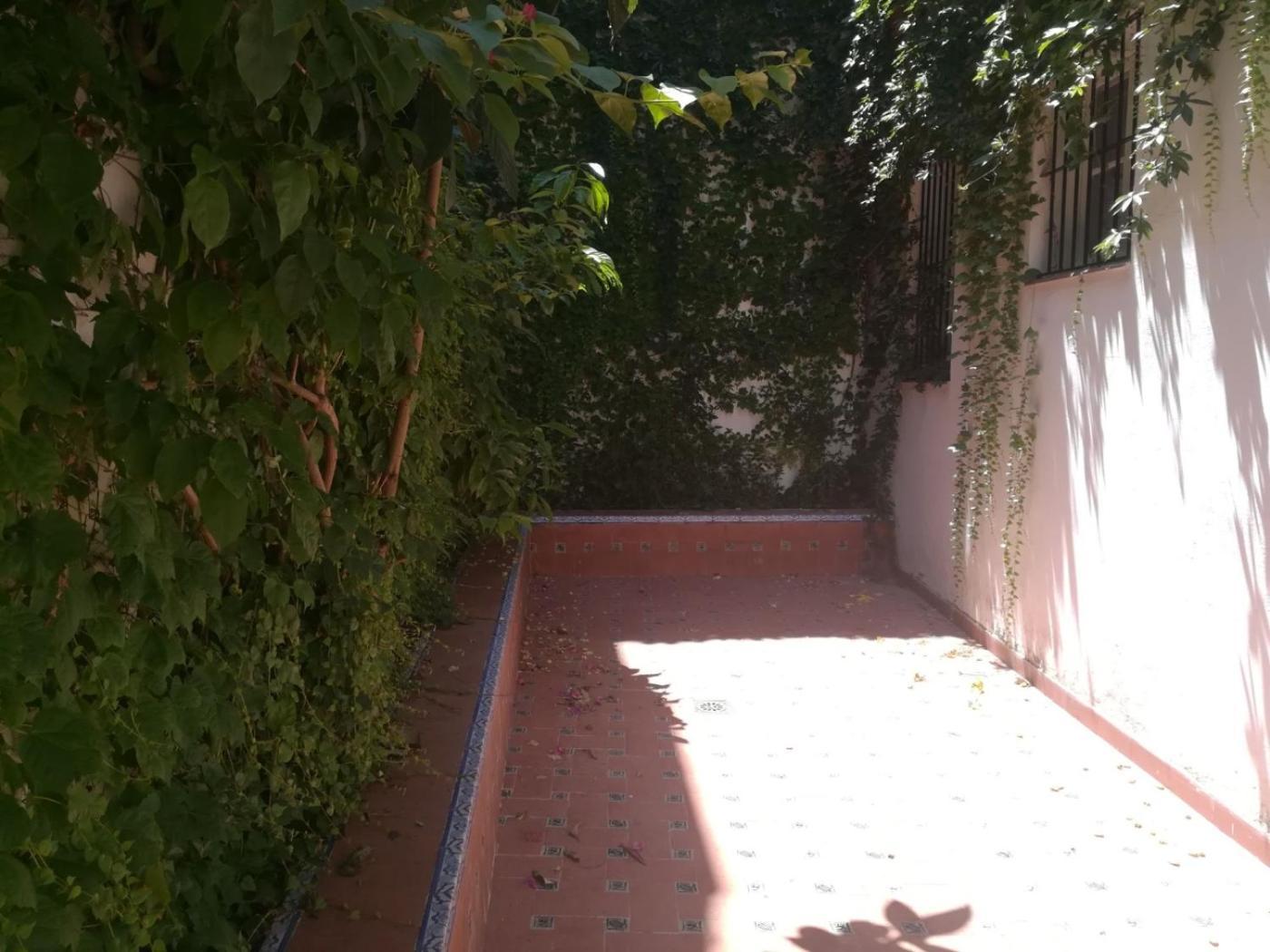 Apartamento Luz Y Tranquilidad Barrio De Sta Cruz