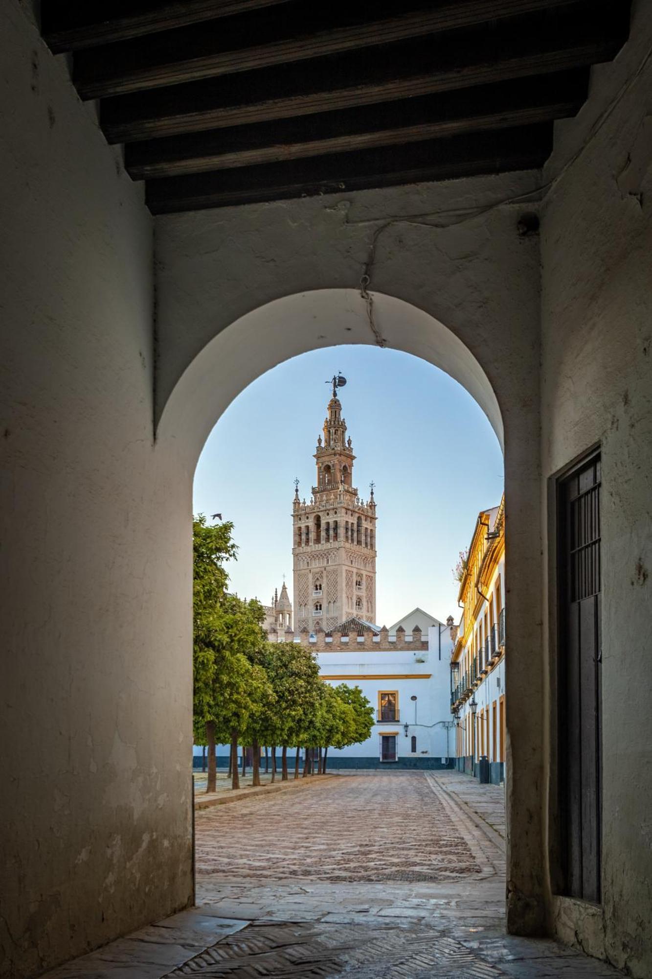 Duplex Con Terraza Privada Y Vistas A La Catedral Seville