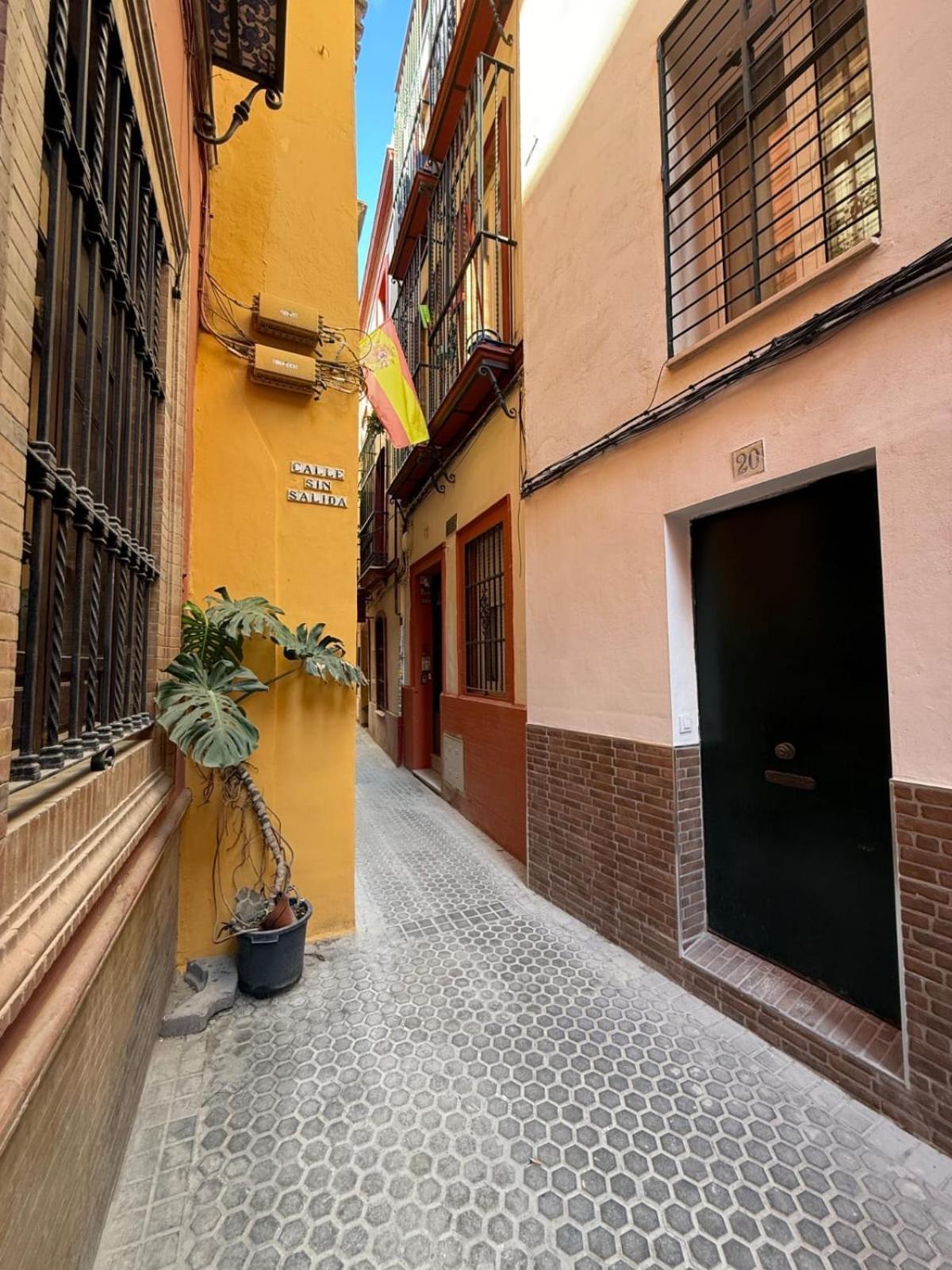 Masset Seville