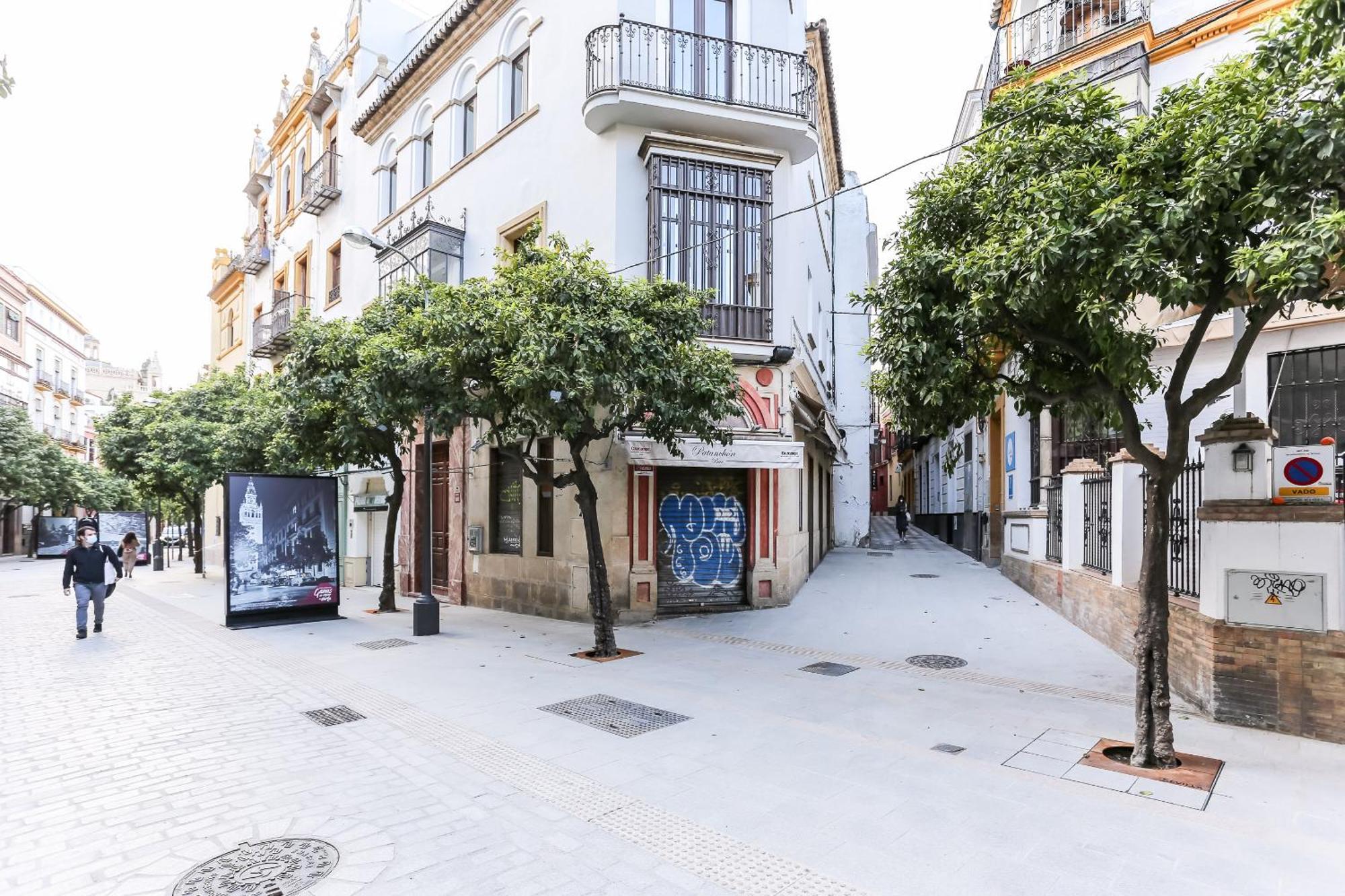 Apartment Mateo Gago 13 Seville