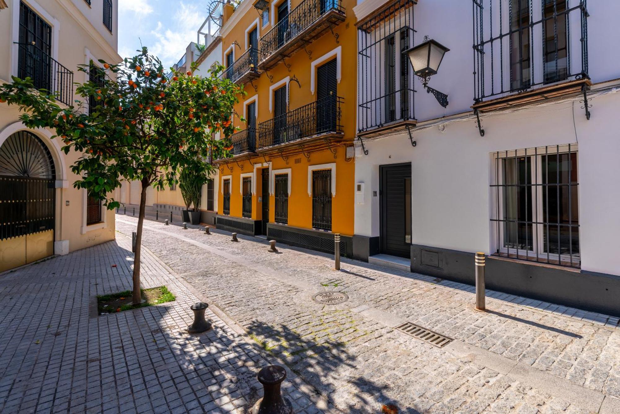 G4 Brand New San Bernardo Terraza Sevilla