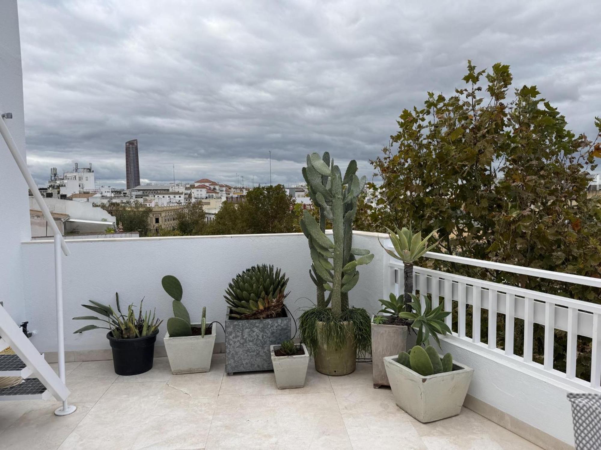 Misterhost Luxury Penthouse Arenal Apartment Seville