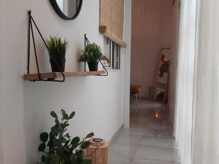 Misterhost Magallanes Triana Apartment