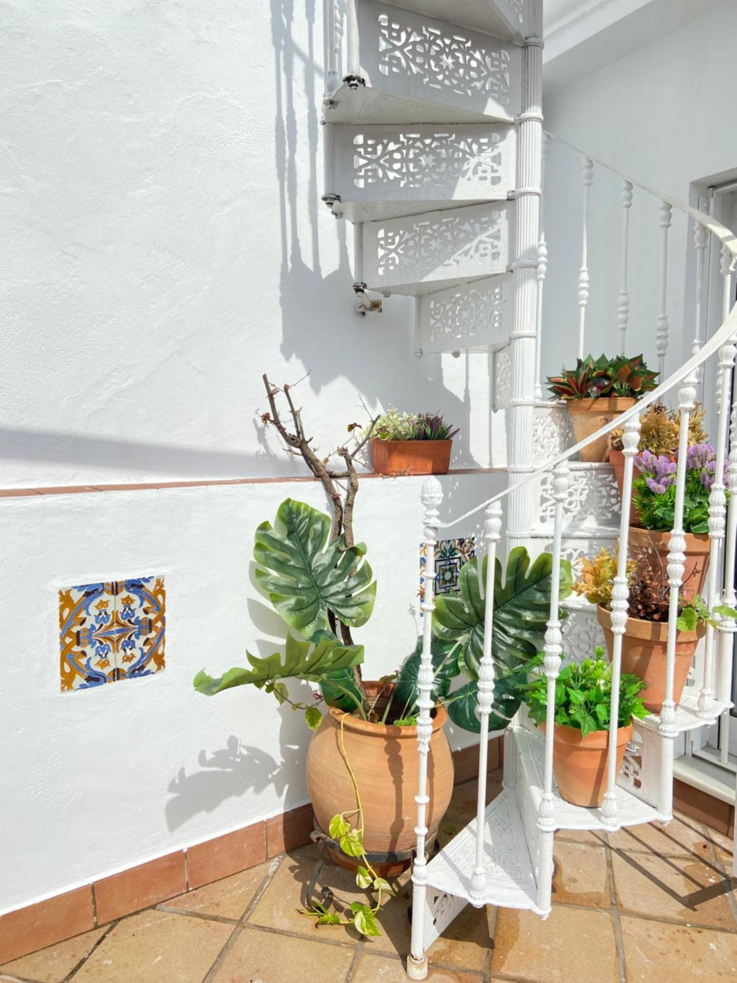 Alohamundi Compania Seville