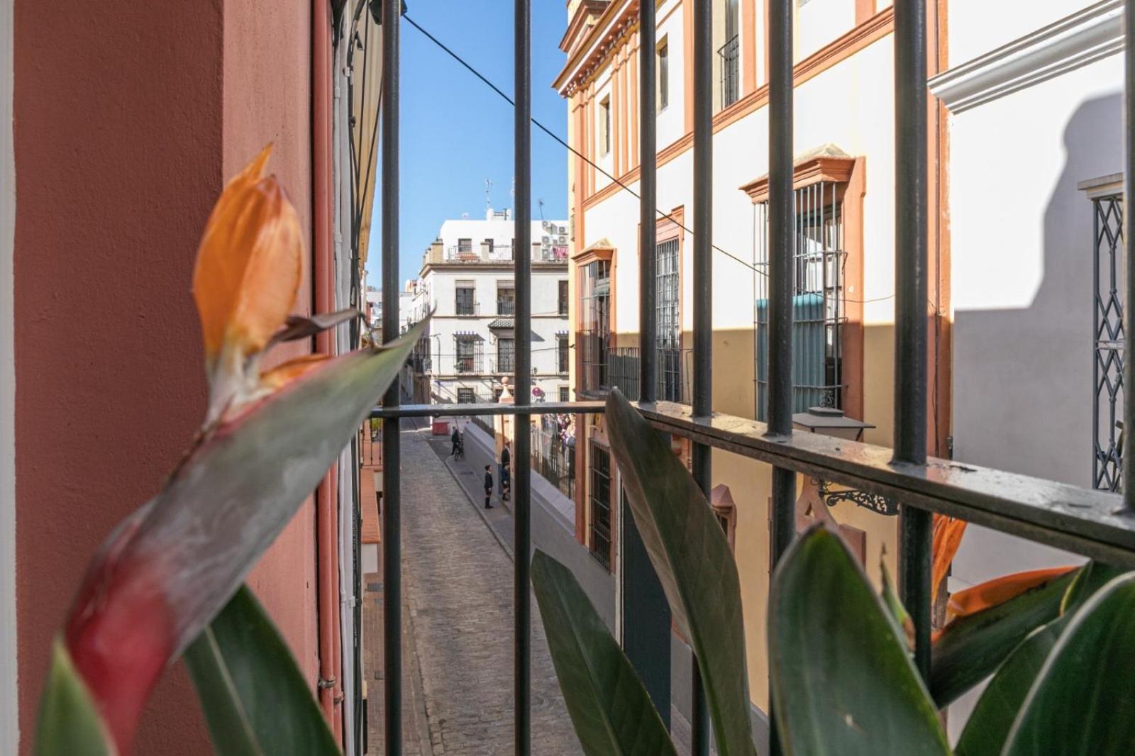 Gotoseville San Bernardo * Seville