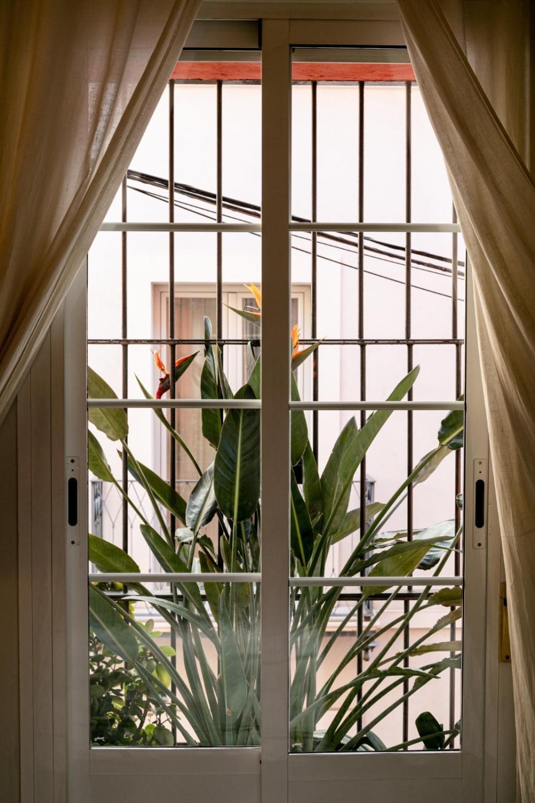 Gotoseville San Bernardo Apartment