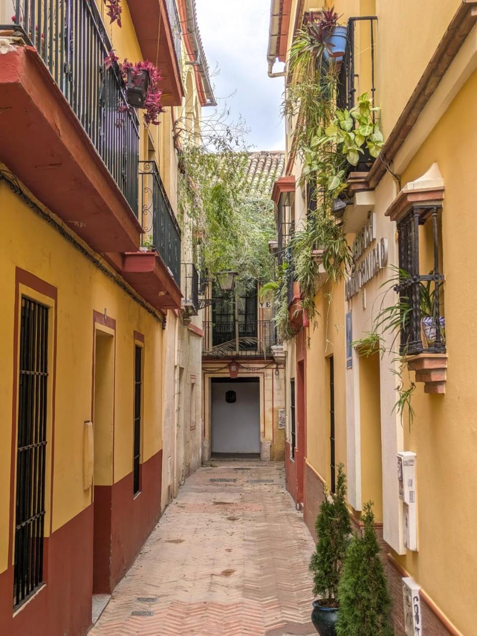 Apartment Archeros Deluxe By Valcambre Seville