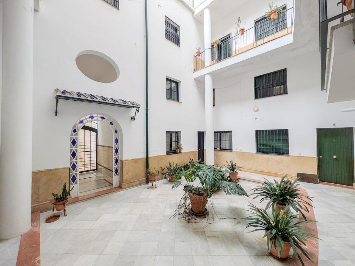 Archeros Deluxe By Valcambre Seville