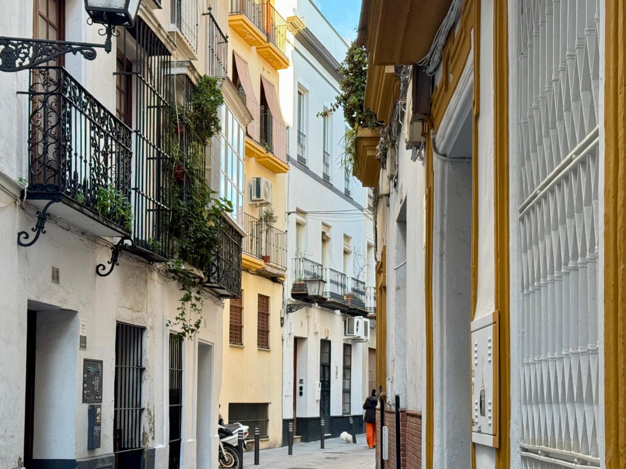 Paradise, By The Cathedral & Alcazar Apartment *