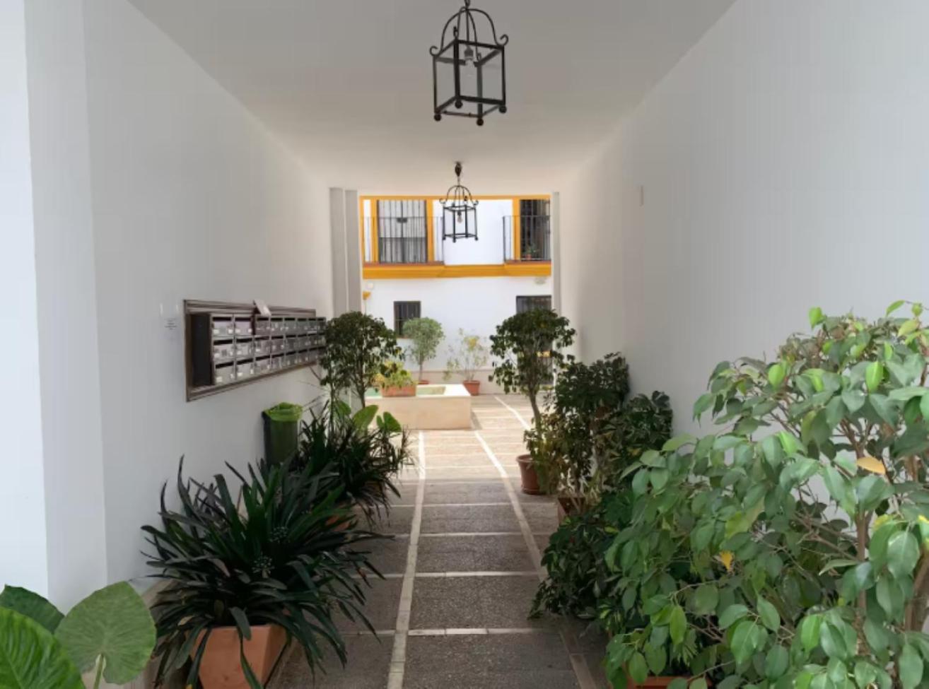 Pilsev Modern & Central, Perfect For Your Seville