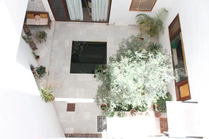 Unika Homes Alfalfa & Terrace Seville