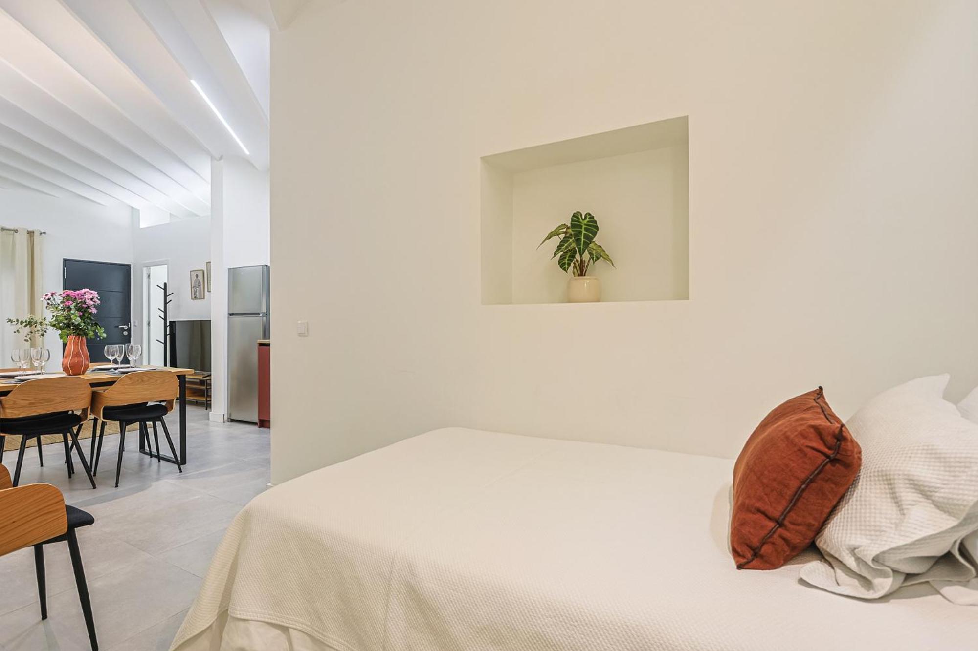 Luxury Petit Loft Seville