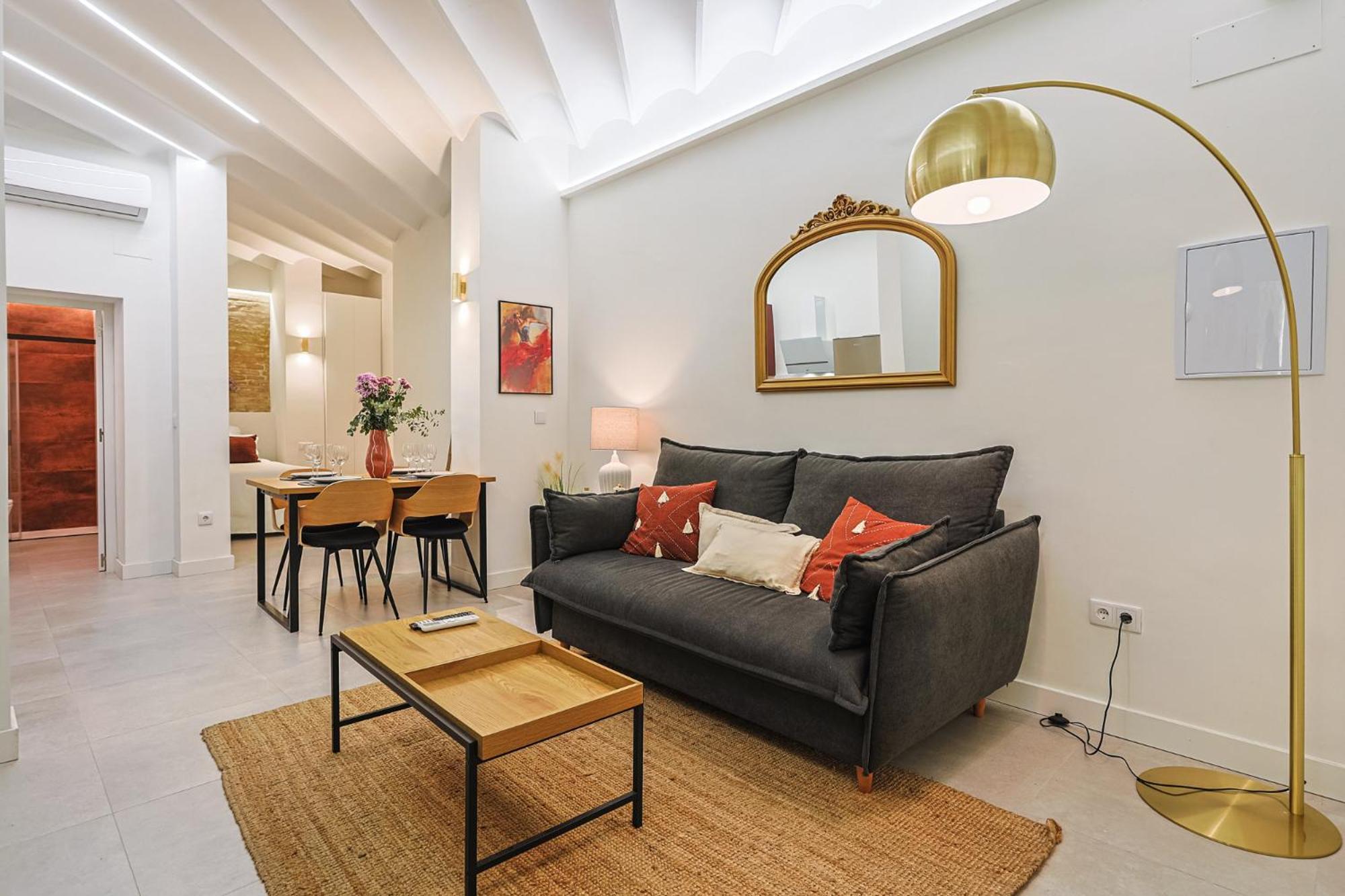 Apartment Luxury Petit Loft