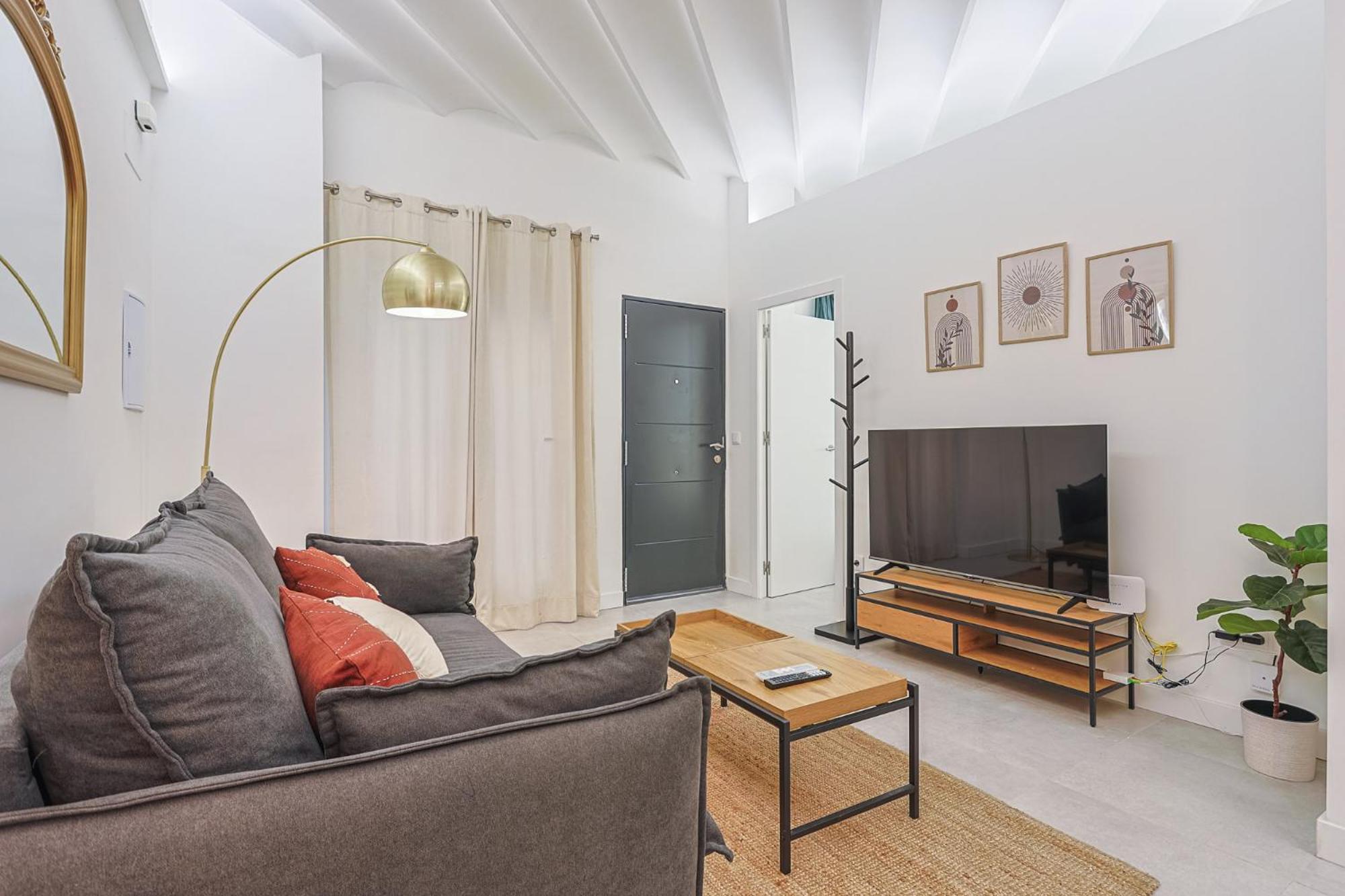 Apartment Luxury Petit Loft