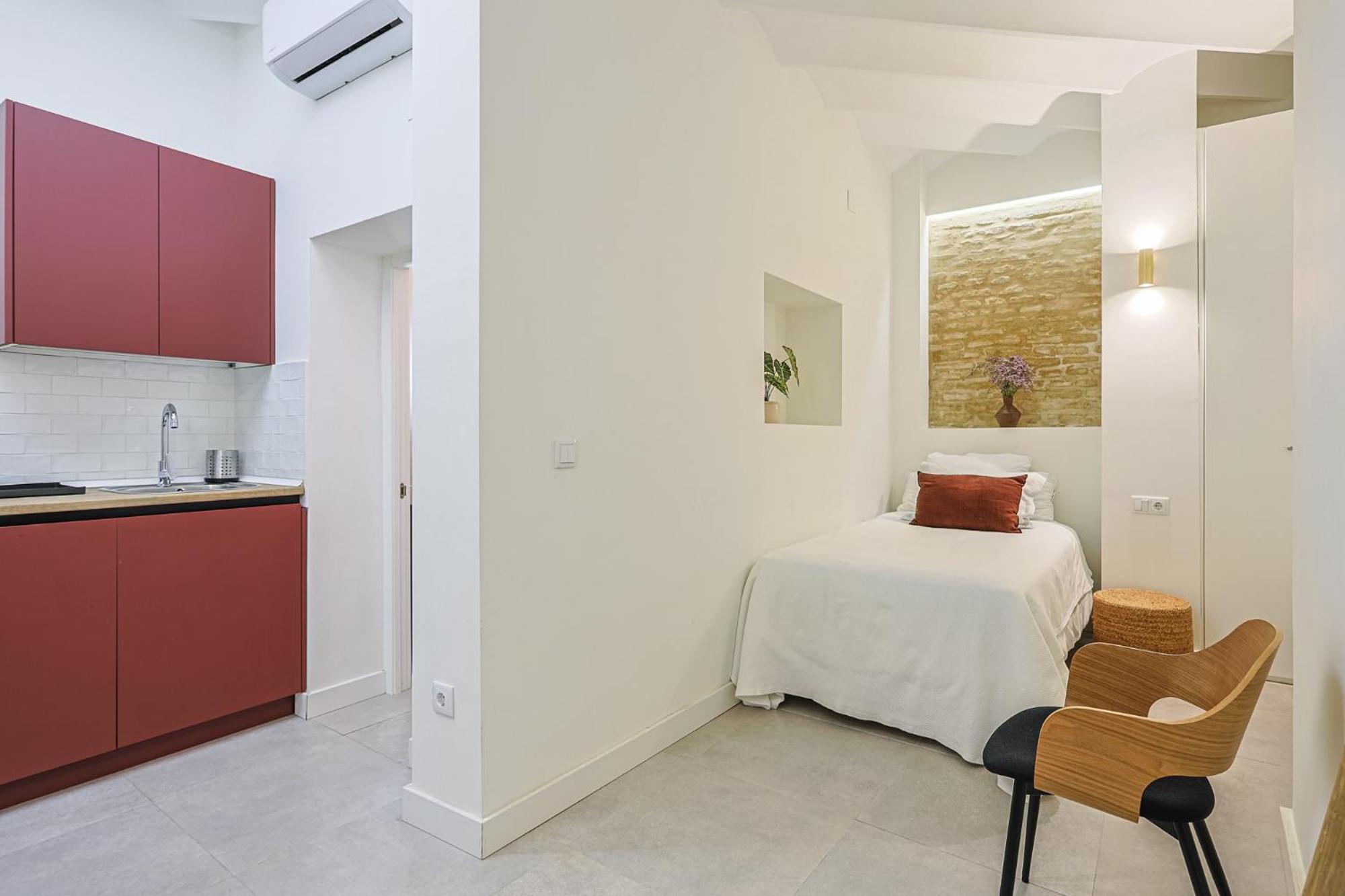 Luxury Petit Loft Apartment Seville