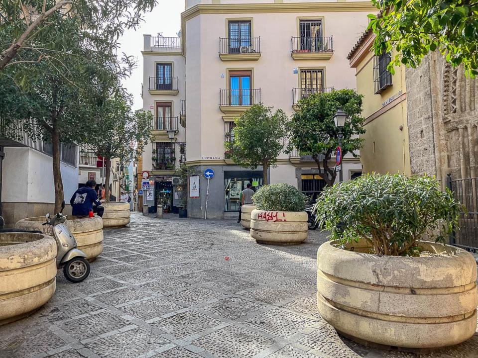 Centro Palacio Siglo De Oro Apartment *