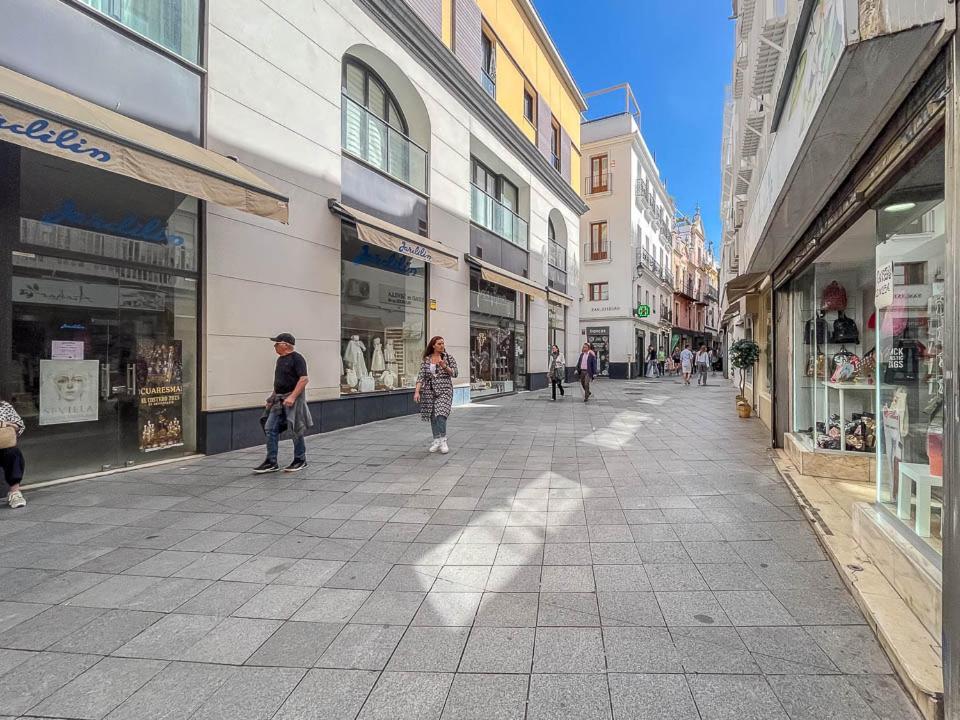Centro Palacio Siglo De Oro Apartment Seville