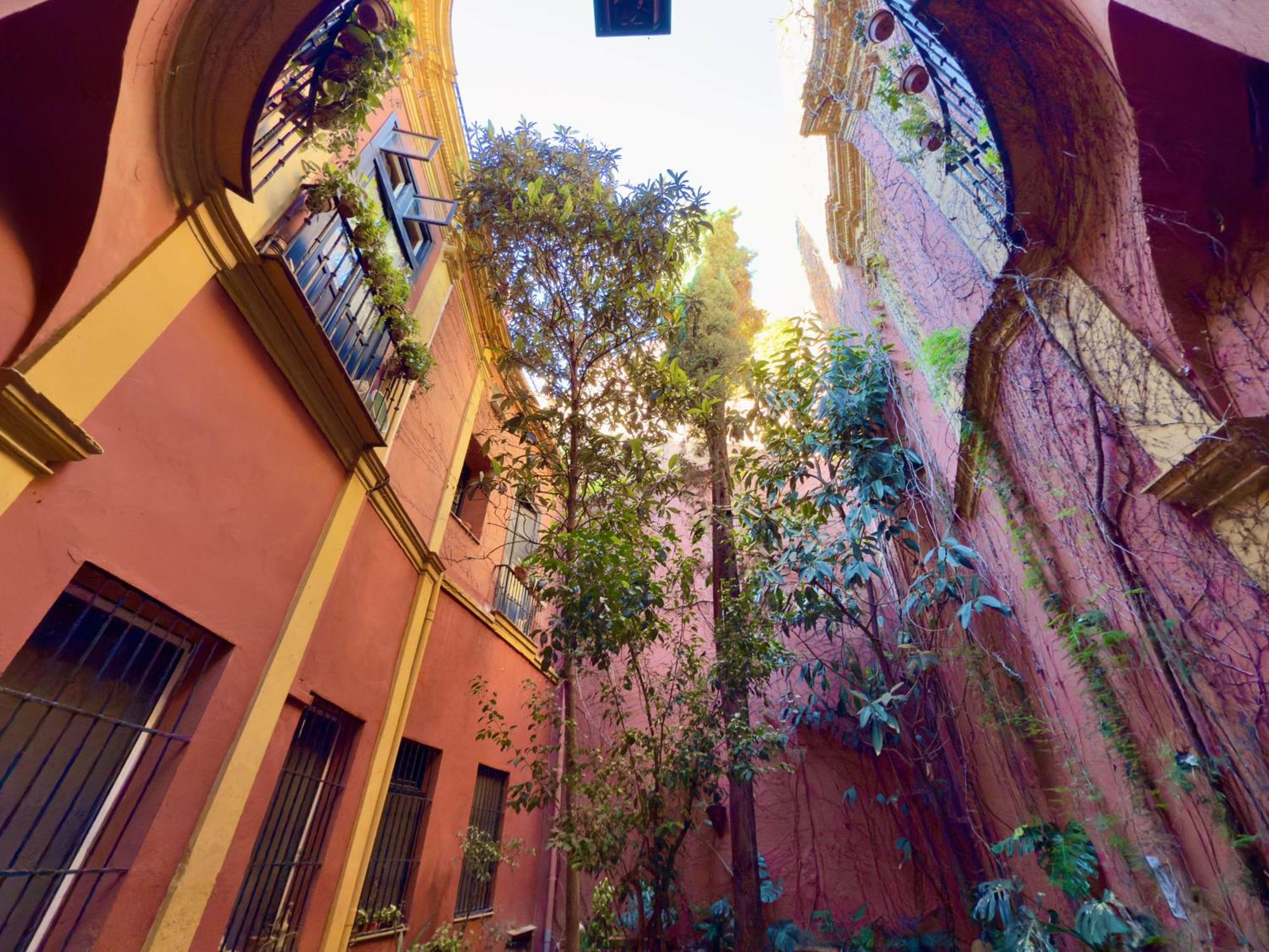 Apartment Centro Palacio Siglo De Oro Seville