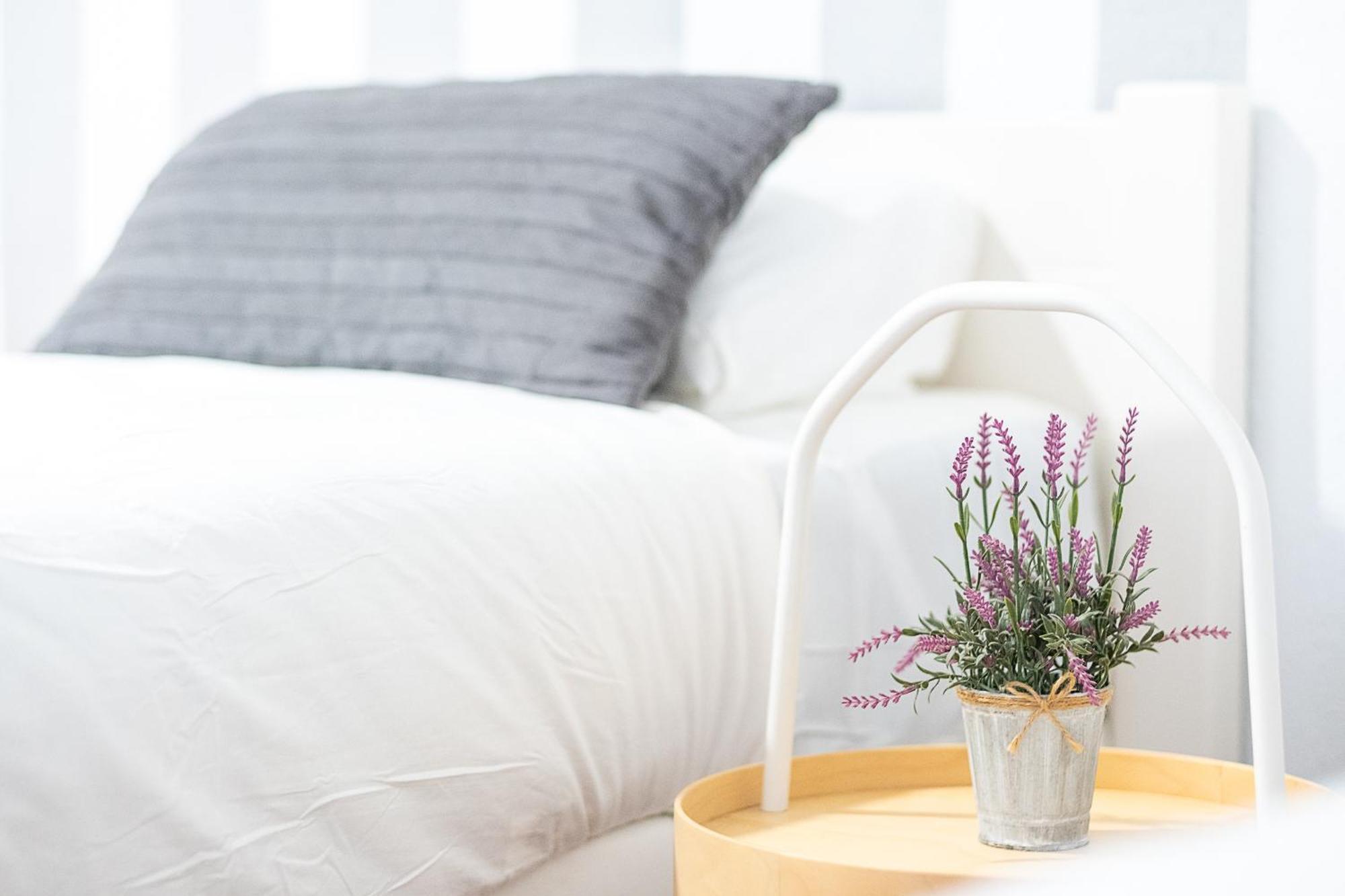 Apartment New Folch A *