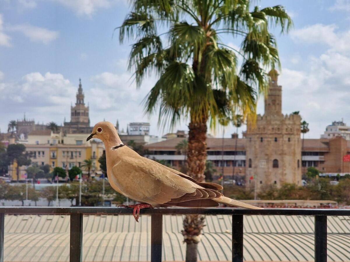 Betis Del Oro Сasa de vacaciones Sevilla