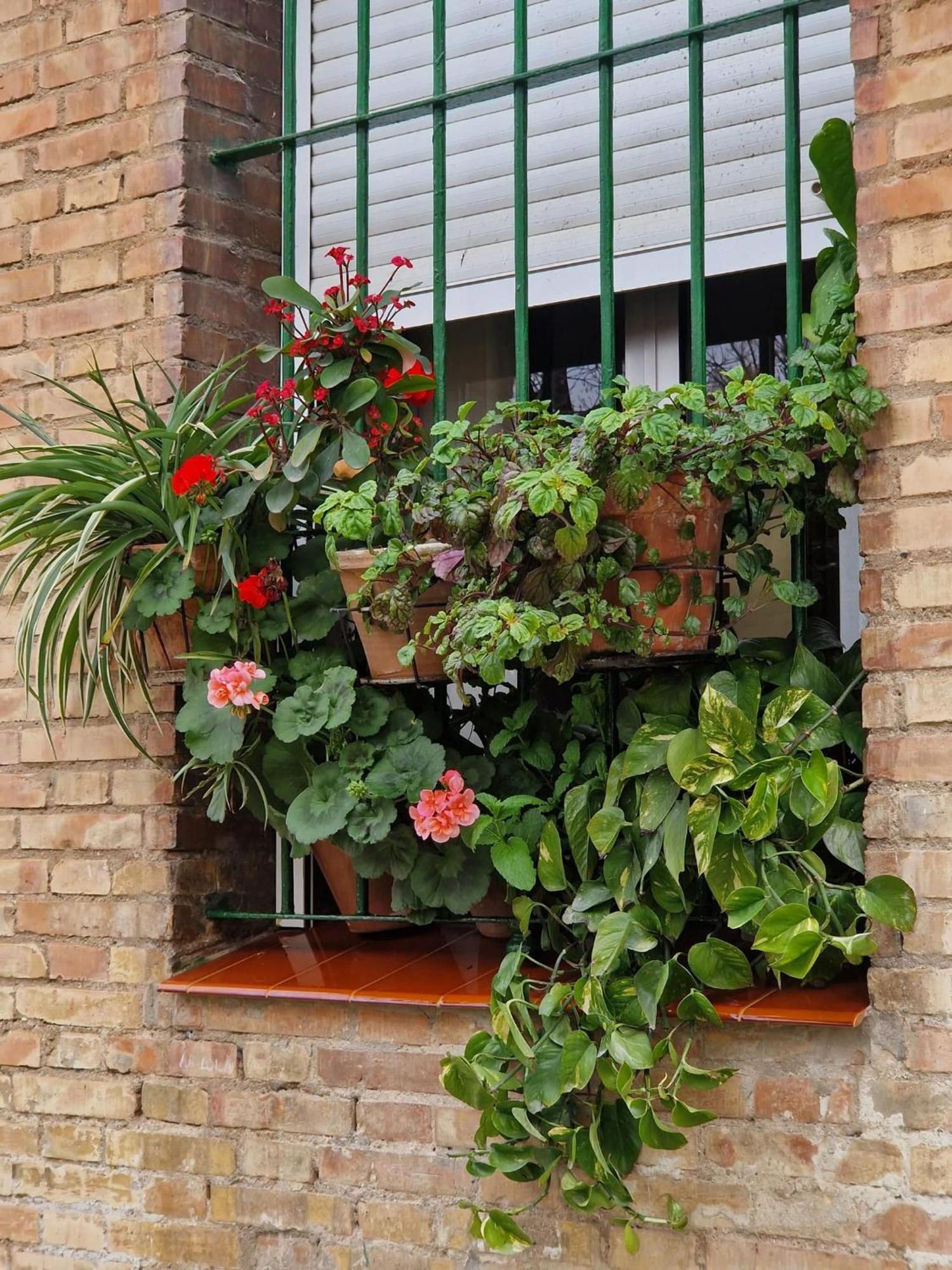 Apartment Bright In With Private Garden