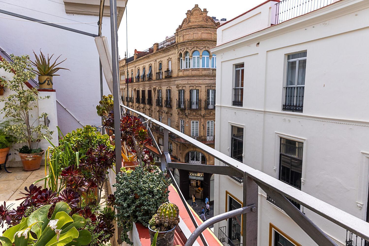 Rooftop Maisonette With Magnificent Terrace Apartment *