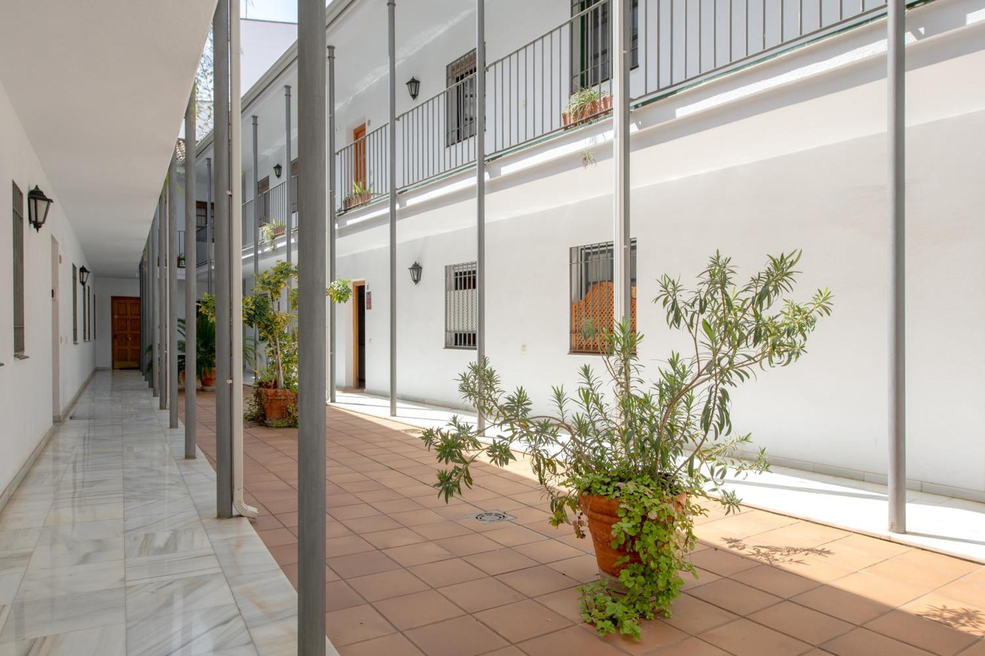 Apartment Monsalves Patio, Centrico Y Con Garaje Gratis *