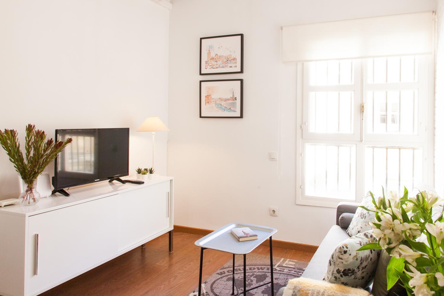 Apartment Ibarra Premium