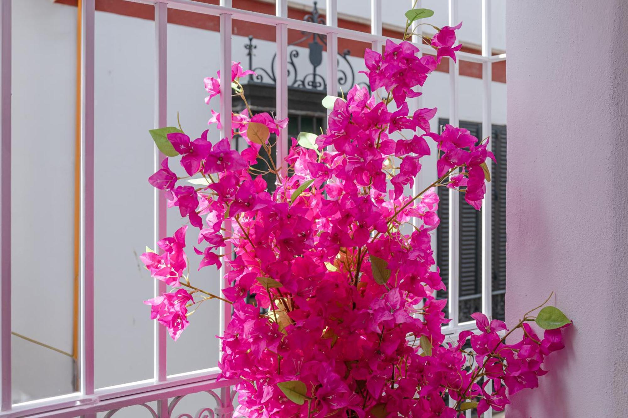 Feria Corner