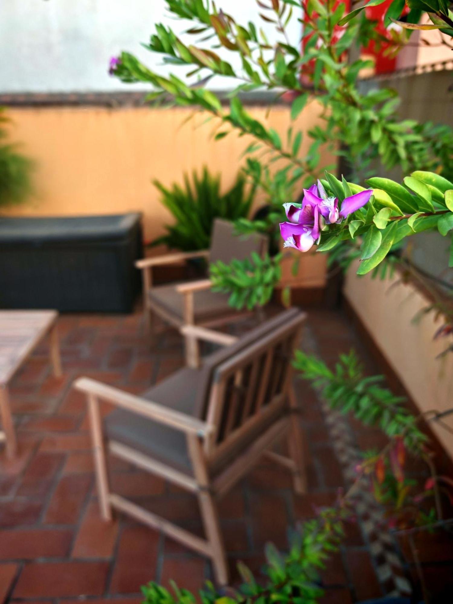 Luxury Rooftop - Space Maison Apartment Seville