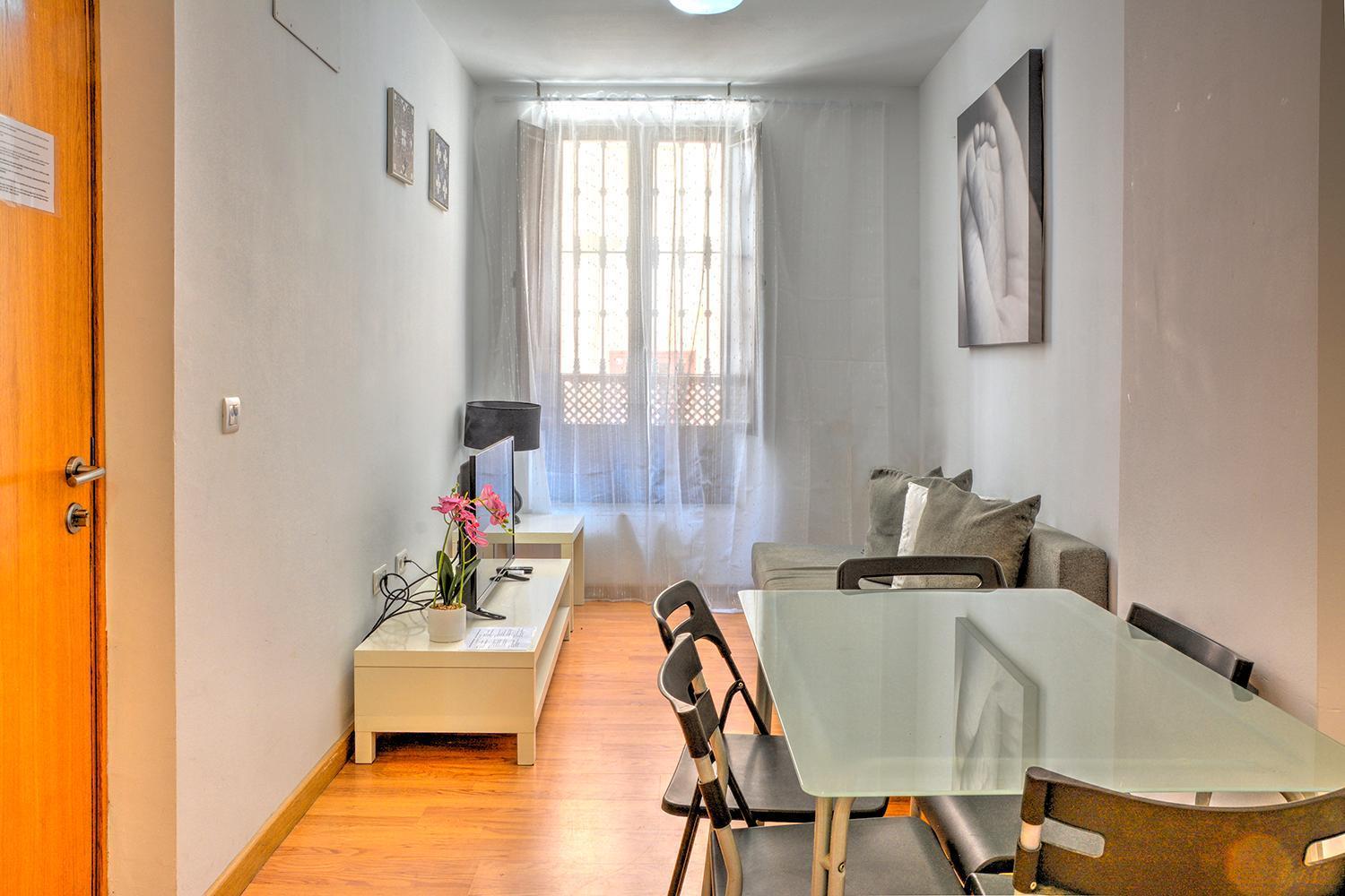 Apartment Vintage Seville