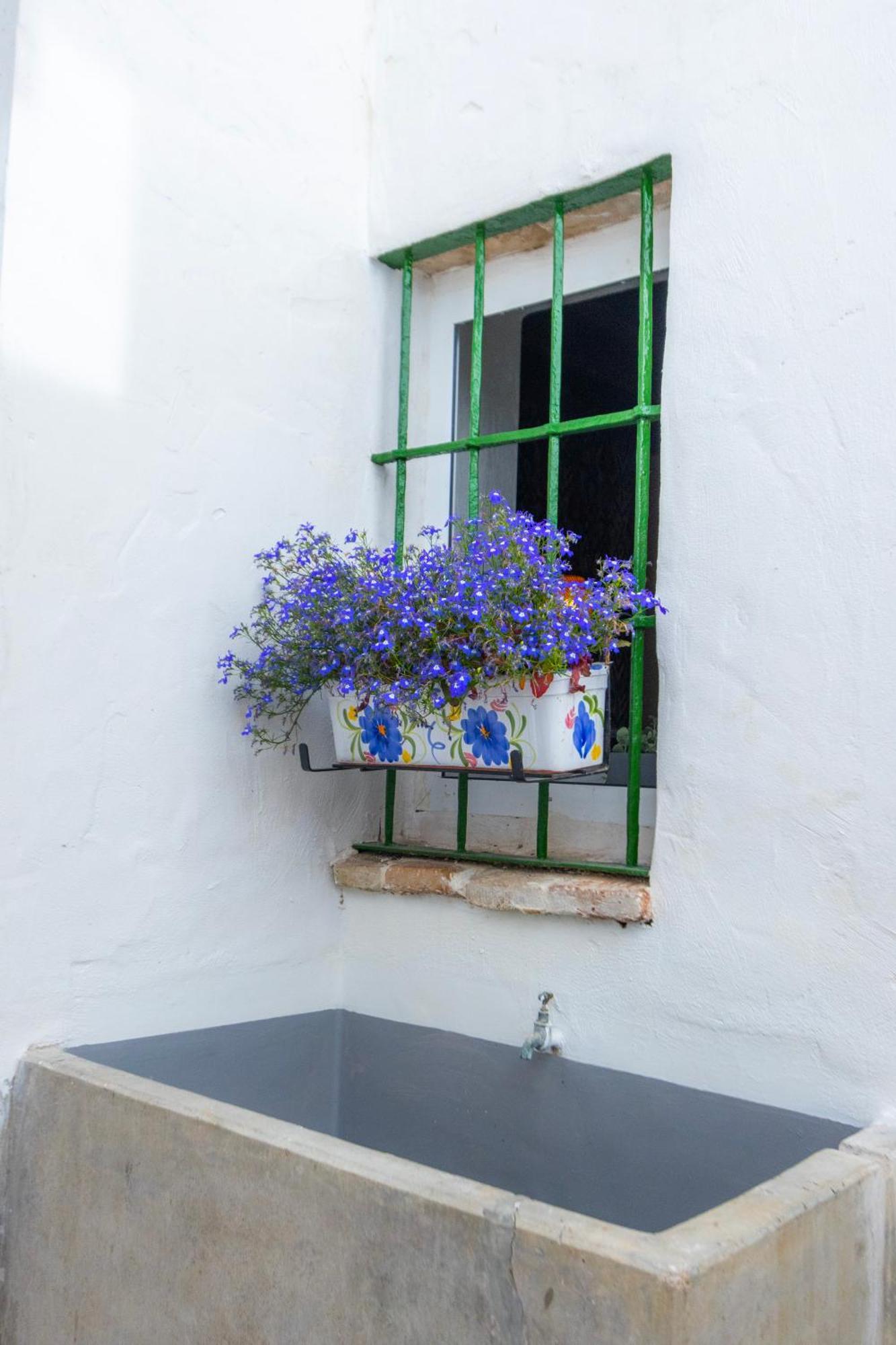 La Clara Domus Holiday home *