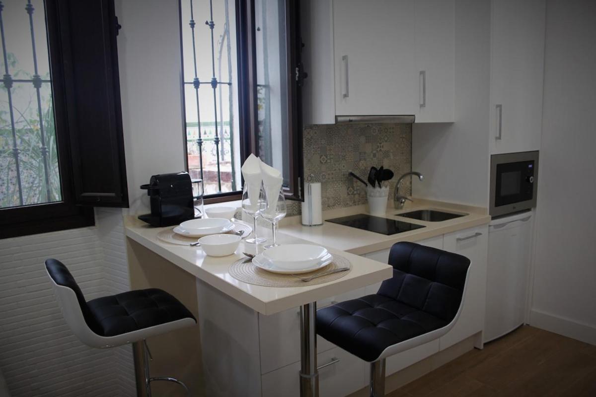Triana Castilla Apartment *