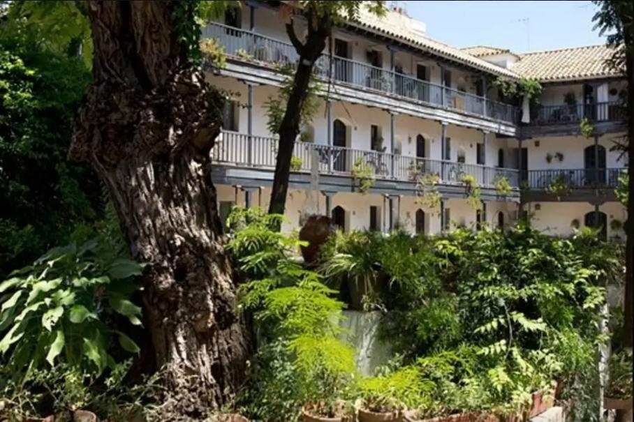 Apartment Corral Del Duque De Olivares Seville