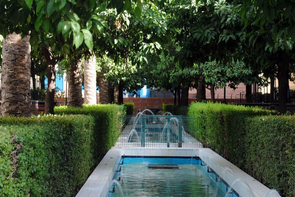 Triana & Free Parking Apartment *
