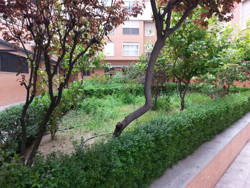 Apartamento Buhaira