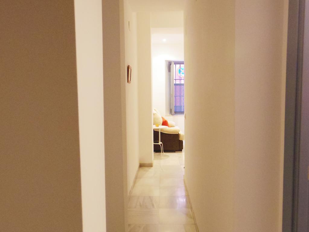 Apartment Coqueto Donkey