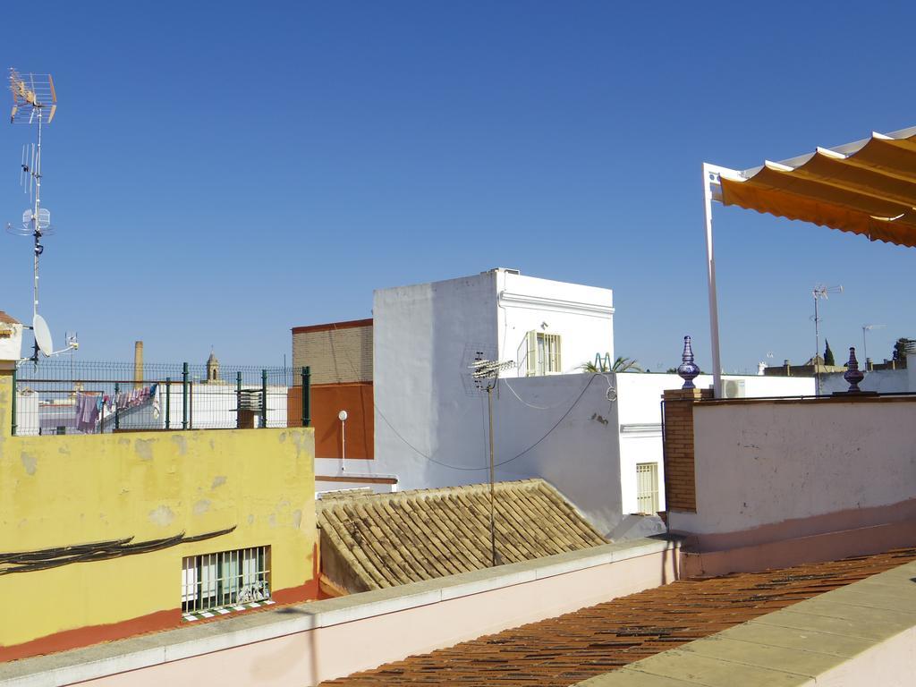 Coqueto Donkey Apartment