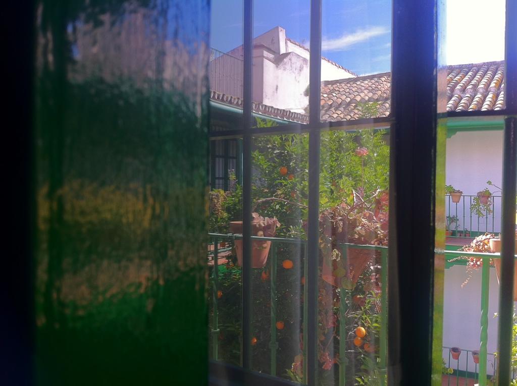 Apartment Tradicional Oasis Sevillano Seville