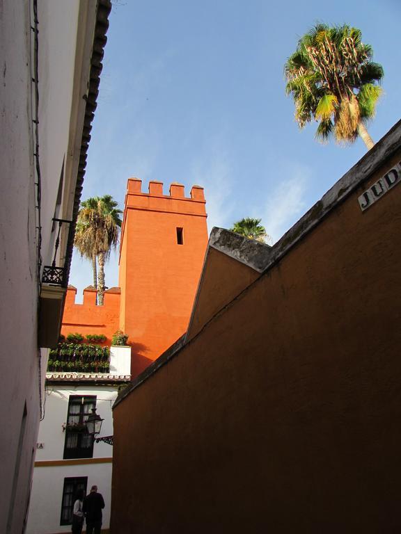 Plaza Alfalfa Centro *