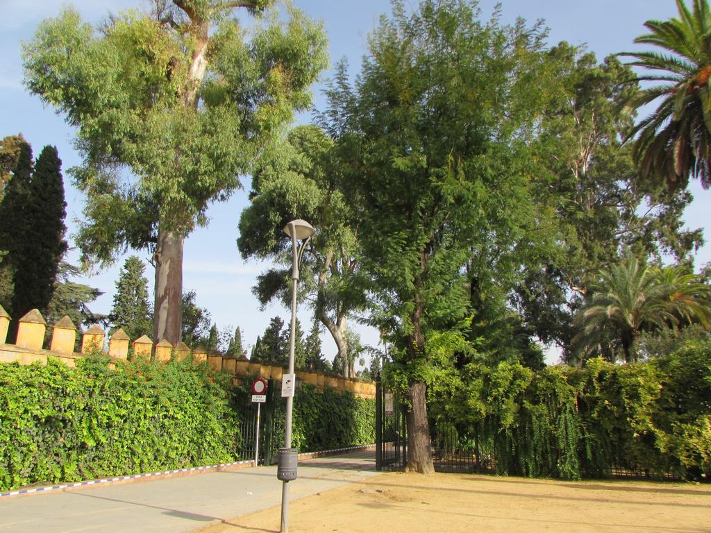 Plaza Alfalfa Centro Seville