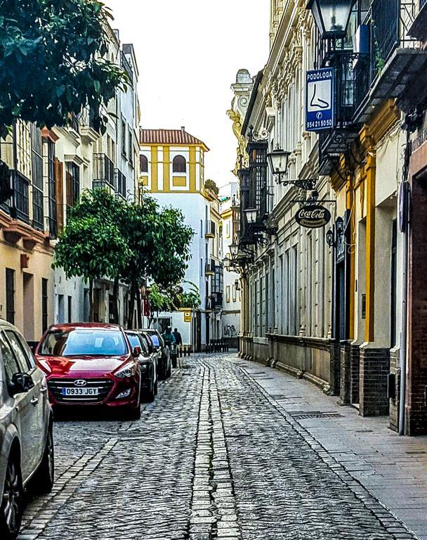 Premium Monsalves Seville