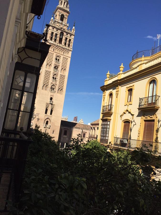 Plaza Nueva Apartment *