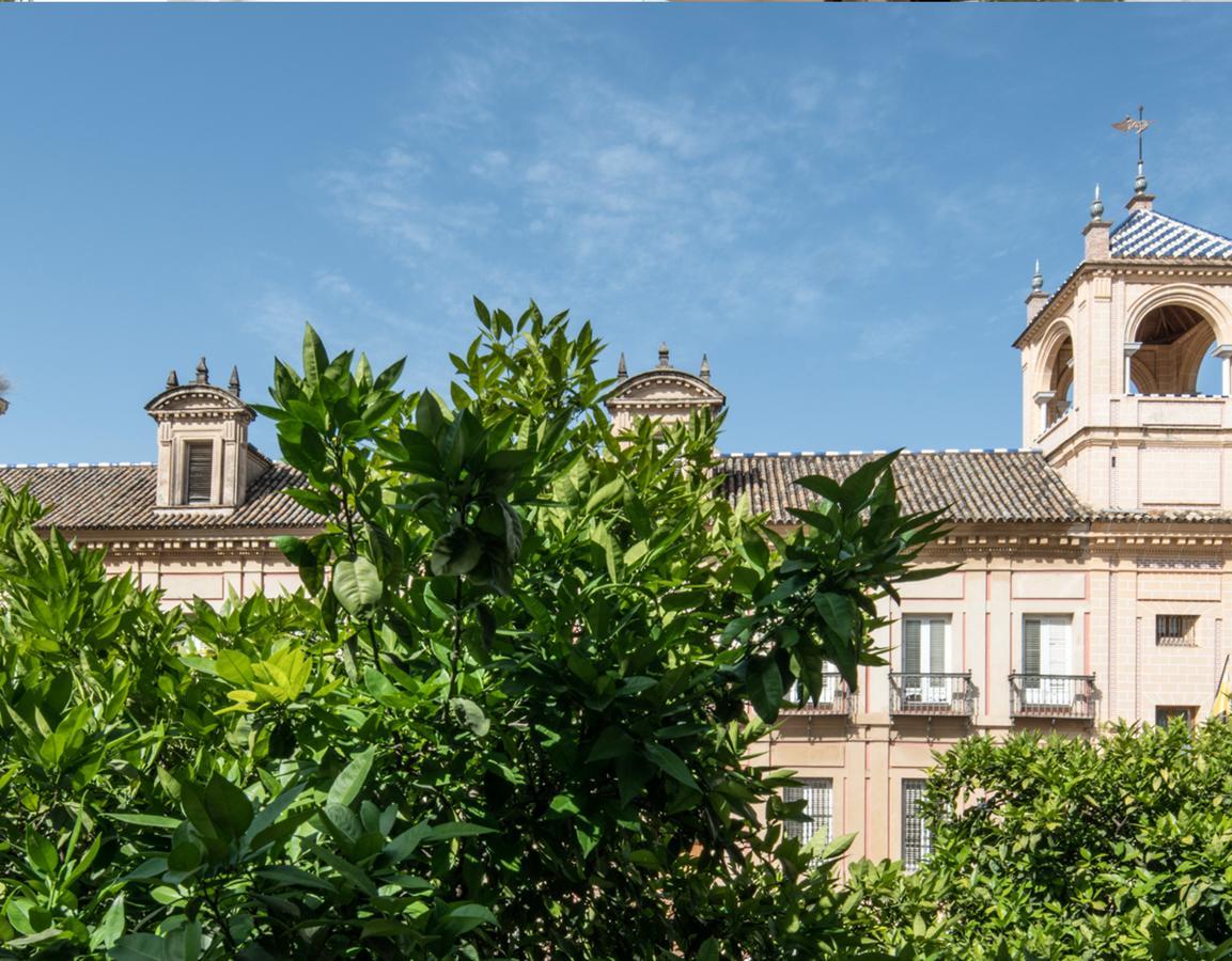Santa Maria *