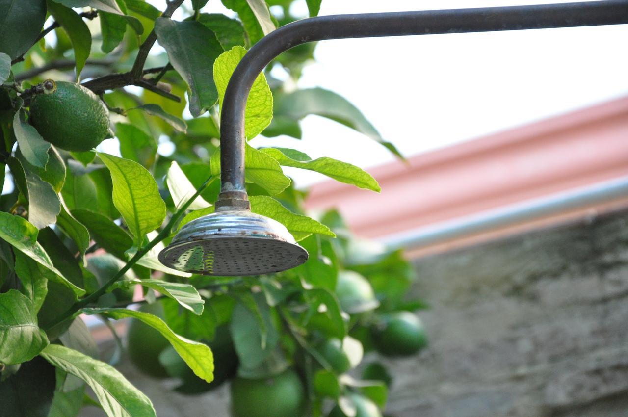 Hostel Lemon Garden Seville