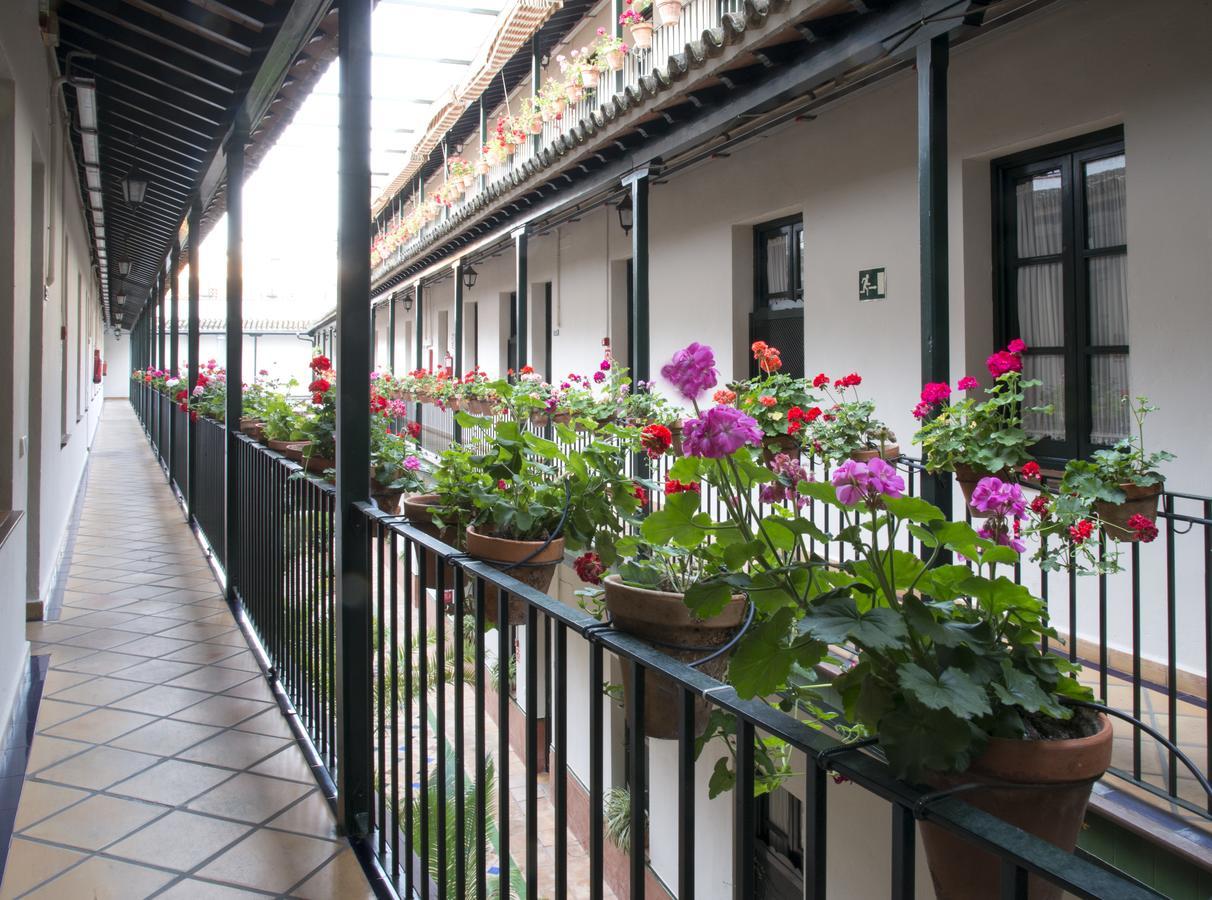 Apartamento Corral De Chícharos