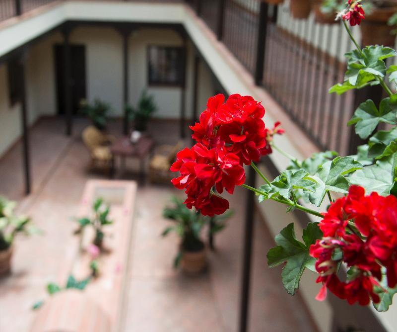 Patio De La Cartuja *